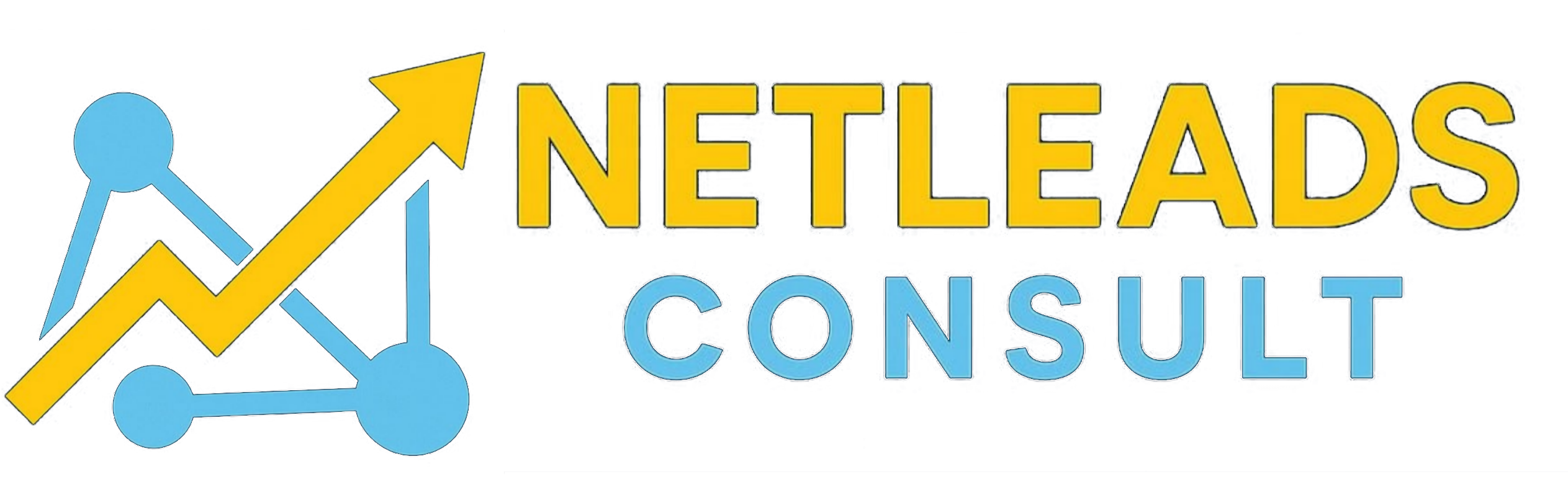 netleads consult logo